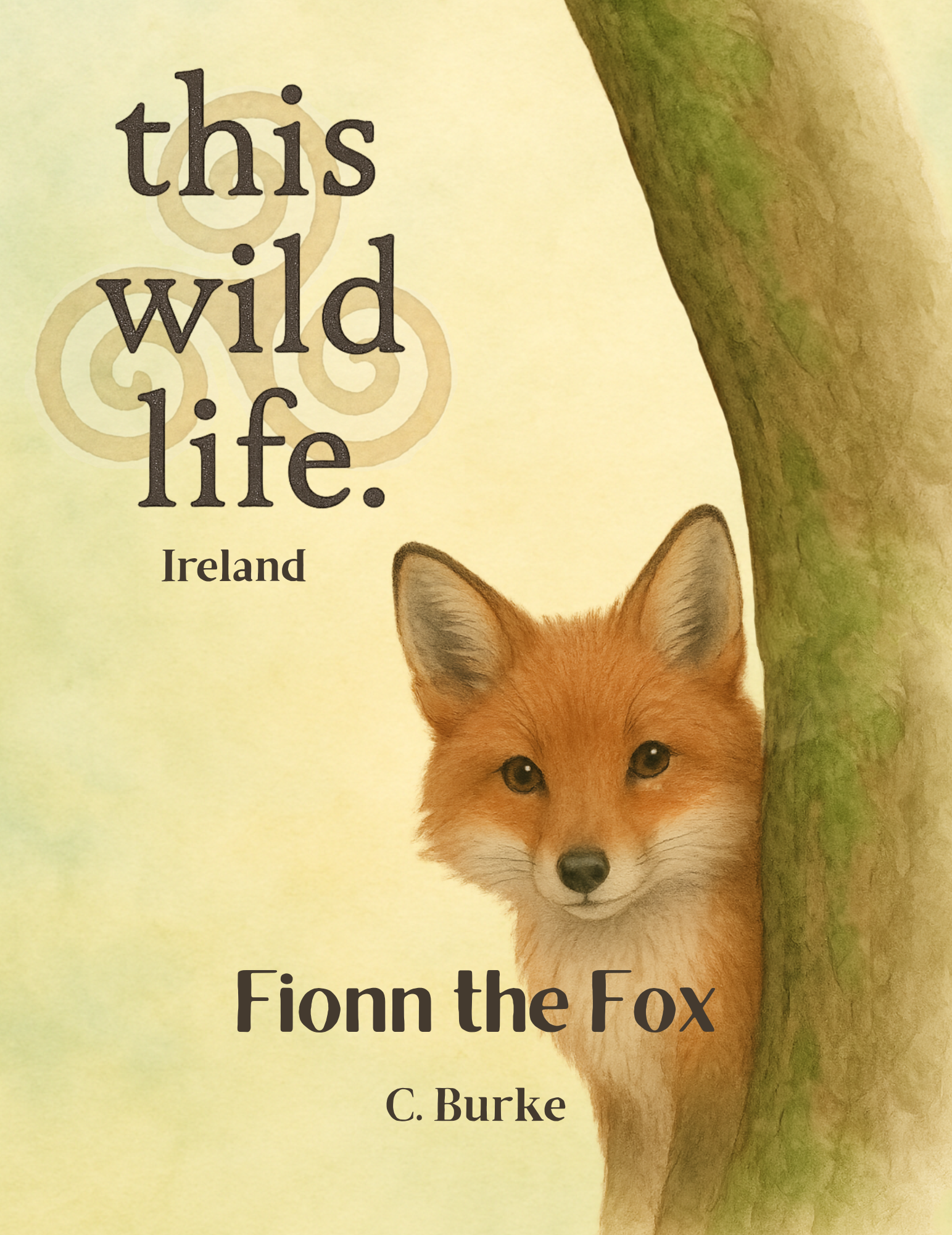 Fionn the Fox book cover